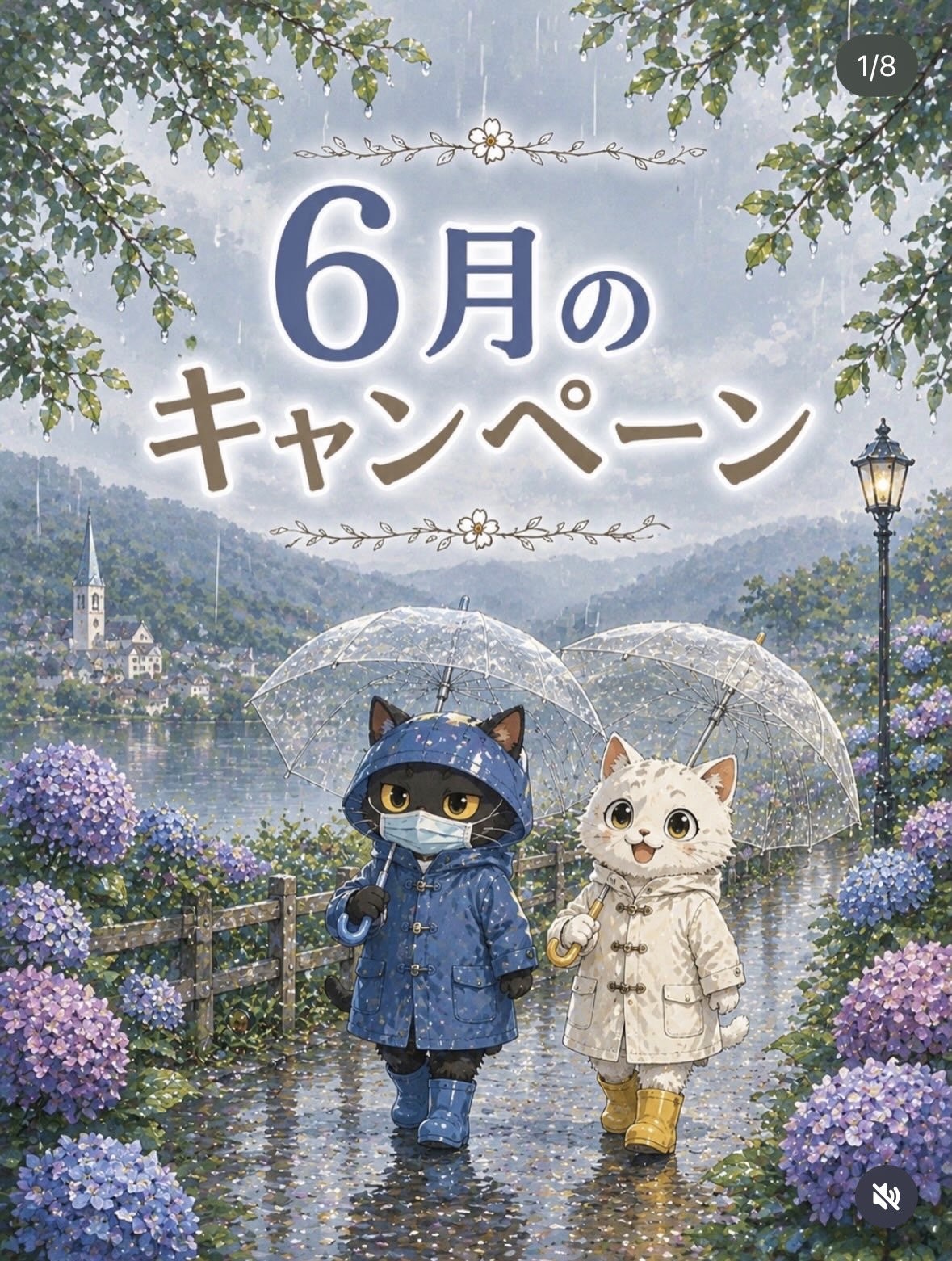 キャンペーン情報